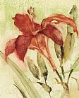 Red Day Lily by Cheri Blum